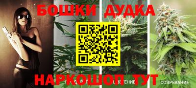 мдпв Моздок