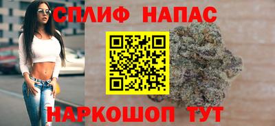 мдпв Моздок