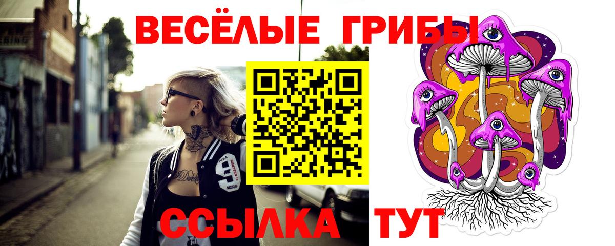 Карасук  Псилоцибиновые грибы мухоморы  Вход с VPN 